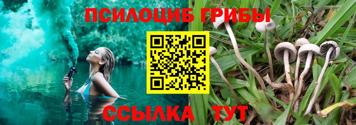 Касимов  Галлюциногенные грибы GOLDEN TEACHER  Вход с VPN 